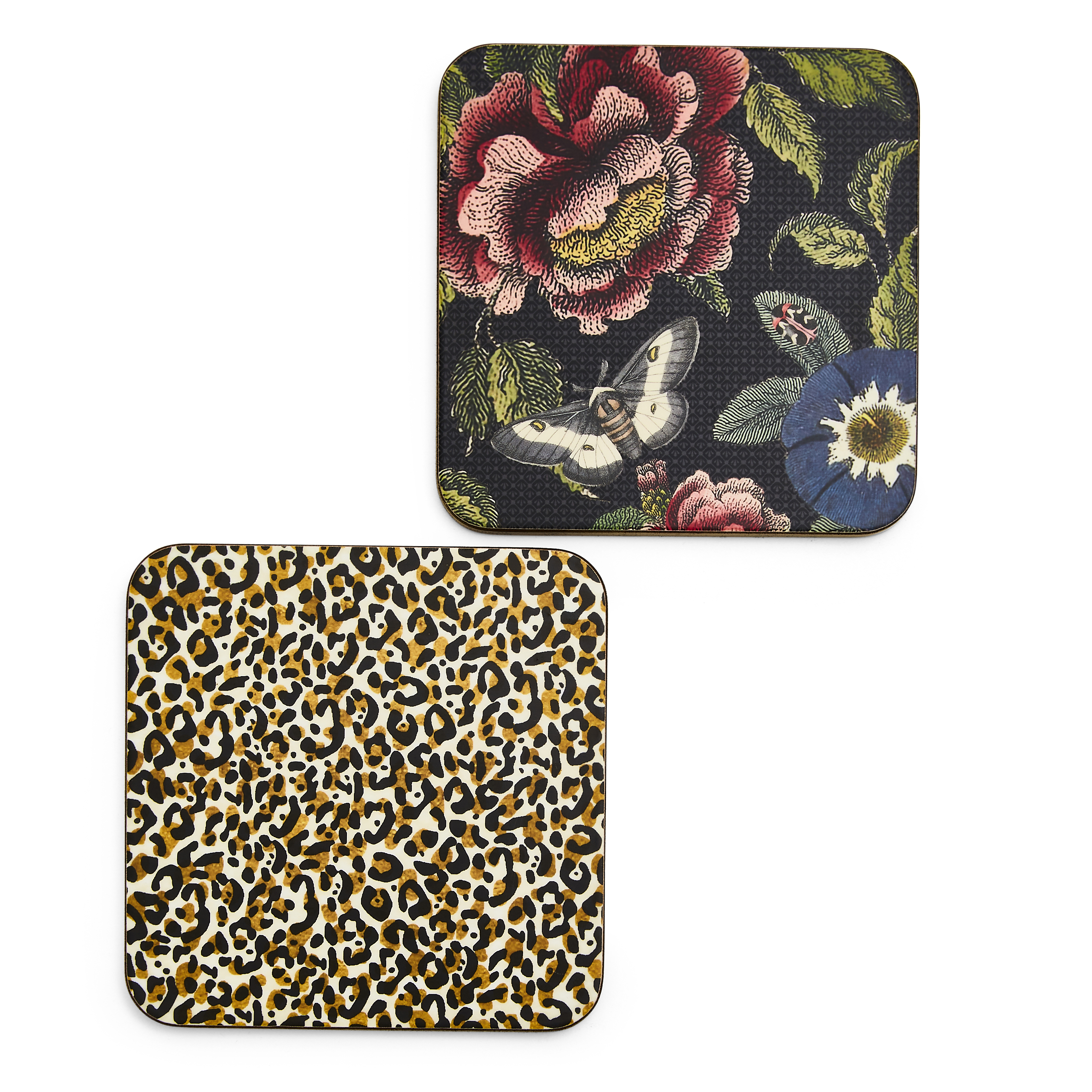 Creatures of Curiosity Coasters Set of 4 image number null